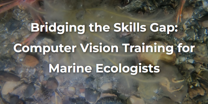 Bridging the Skills Gap: Computer Vision Training for Marine Ecologists