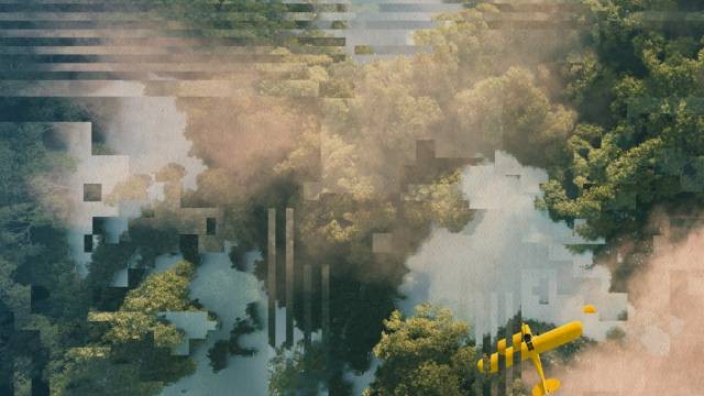 Bird’s‑eye view of trees