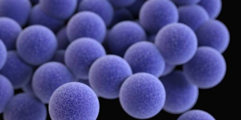 Turing-Roche festival