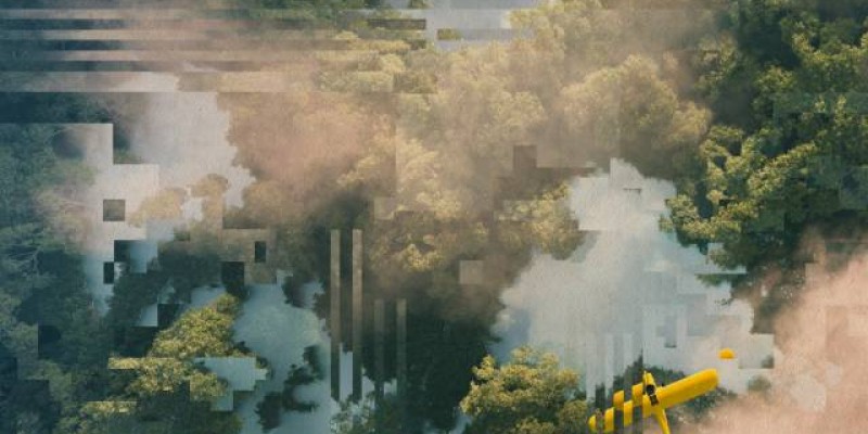 Bird’s‑eye view of trees